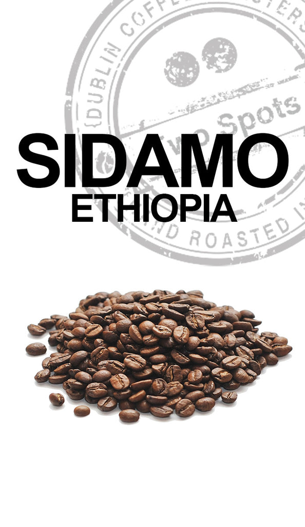 SIDAMO - ETHIOPIA